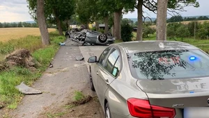 Pościg zakończony uderzeniem w drzewo i dachowaniem!