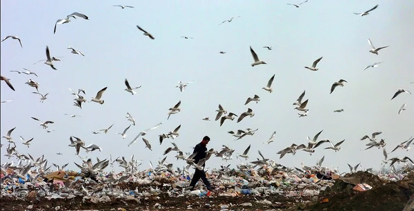 Największe wysypisko śmieci w Europie. Znajduje się w miejscowości Vinca pod Belgradem - stolicy Serbii.