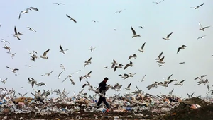 Największe wysypisko śmieci w Europie zostanie zamknięte