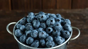 Polacy pokochali borówki. Zjadamy coraz więcej jagód