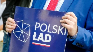 Przedsiębiorcy rozliczający się stawką liniową nie chcą rozwiązań z Polskiego Ładu