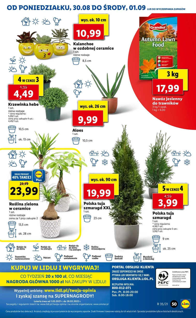 leaflet page preview image