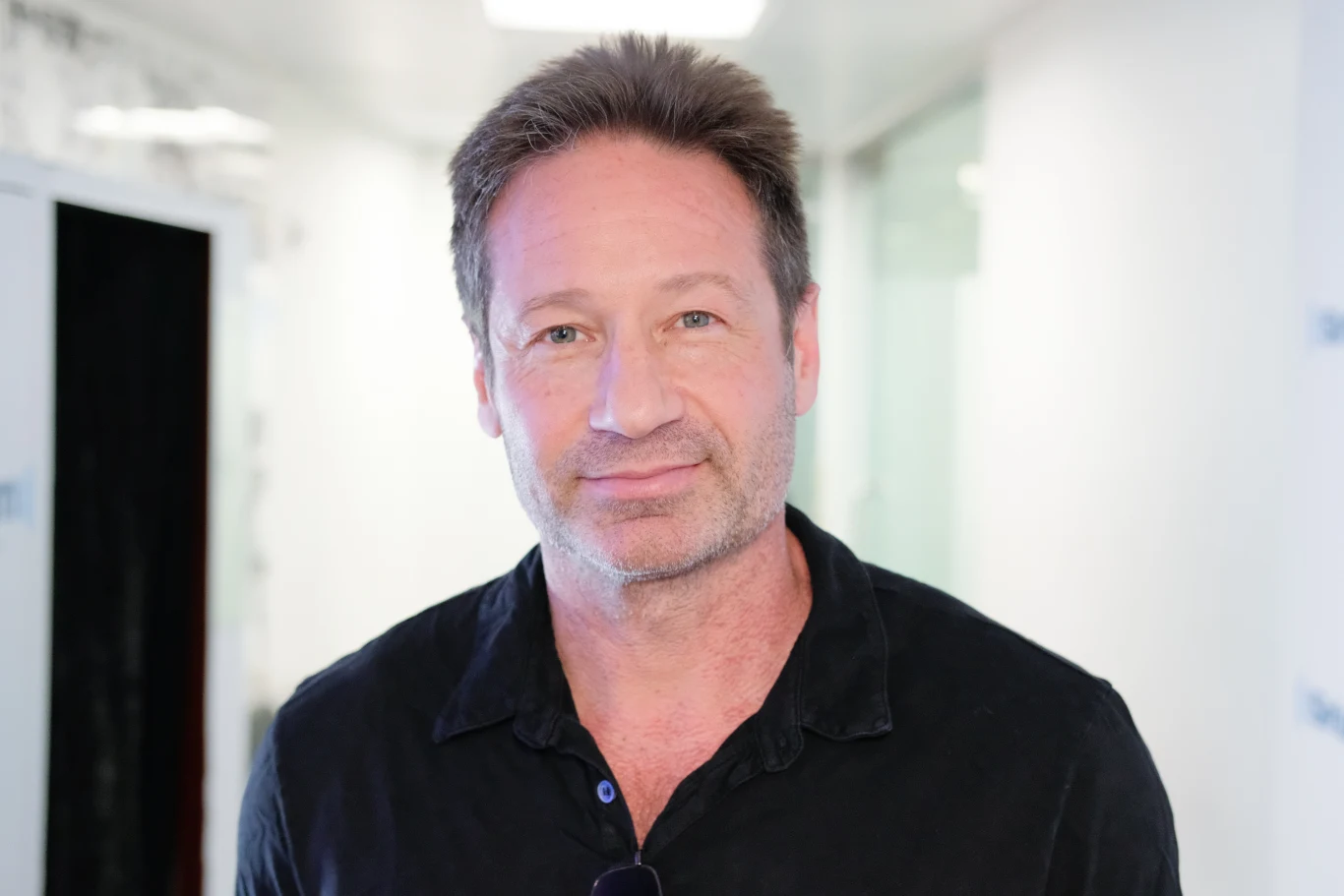 David Duchovny David Duchovny