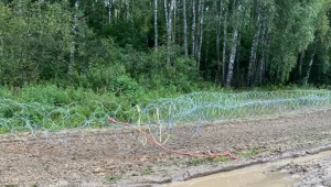 Uszkodzone ogrodzenie na granicy