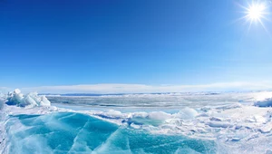 Epidemia z Arktyki? Badacze odkrywają starożytne wirusy