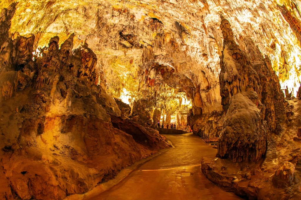 Jaskinia Postojna to jedna z najczęściej odwiedzanych przez turystów jaskiń na Słowenii 