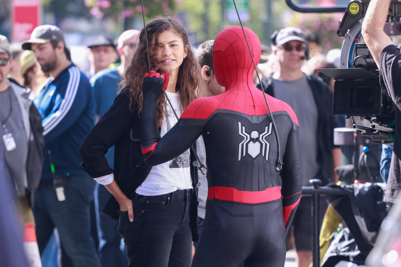 Sukces artystce przyniósł występ w serii filmów o człowieku-pająku: "Spider-Man: Homecoming" (2017) oraz "Spider-Man: Daleko od domu" (2019). Już niebawem zobaczymy ją w kolejnej odsłonie cyklu o podtytule "Bez drogi do domu", której premiera zaplanowana została na grudzień tego roku.