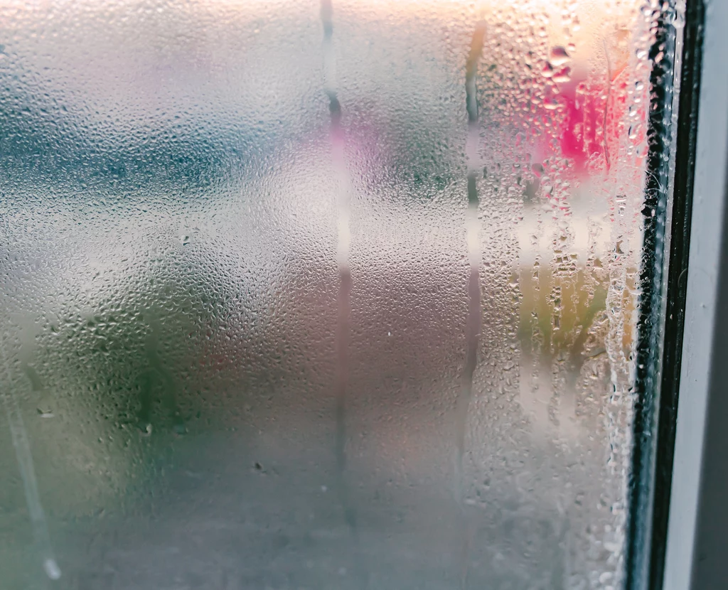 Parujące okna bywają uciążliwe, zwłaszcza jesienią i zimą