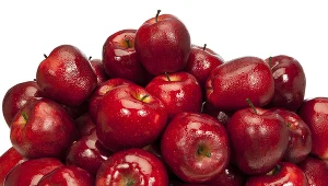 Sadownicy się denerwują, UOKiK wchodzi do akcji