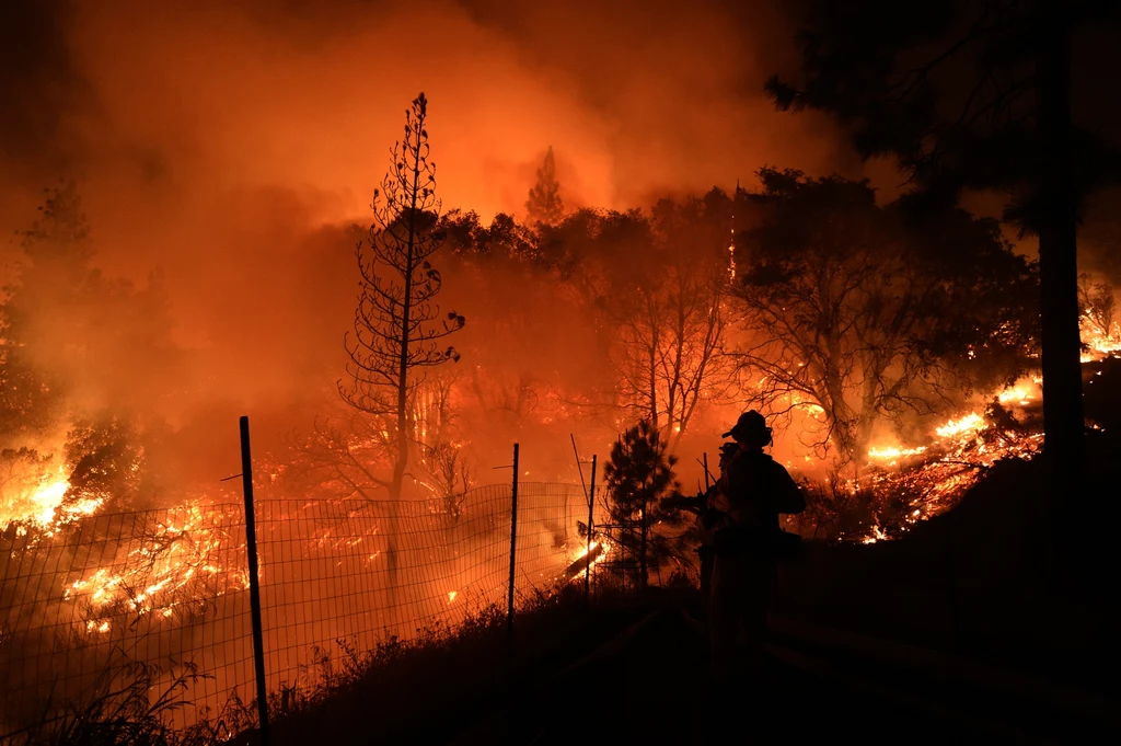 Pożary lasów w Kalifornii