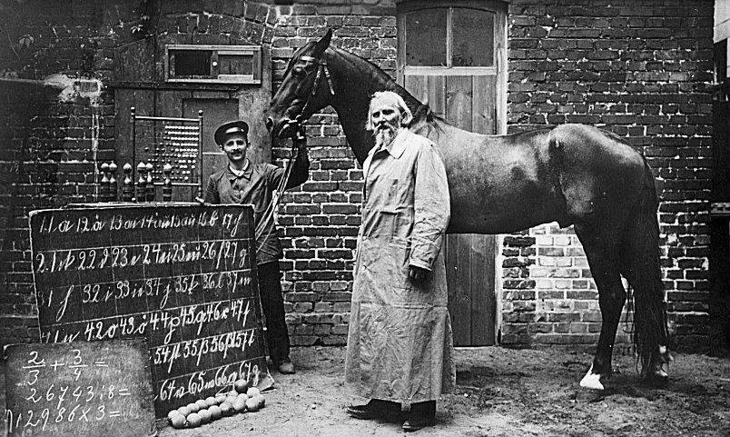 Wilhelm von Osten z Mądrym Hansem