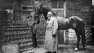 Mądry Hans – historia konia, który potrafił liczyć i komunikować się z ludźmi