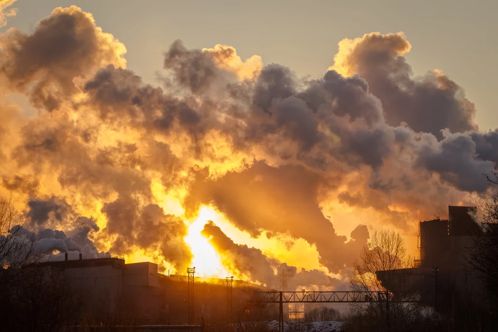 Brudne powietrze przyczynia się rocznie do 93 tys. przedwczesnych zgonów w Polsce