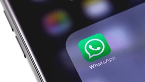 WhatsApp z rekordową karą 225 mln euro za naruszenie RODO