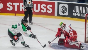 JKH GKS Jastrzębie - Bolzano Foxes