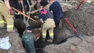 Akcja ratunkowa strażaków i przyrodników