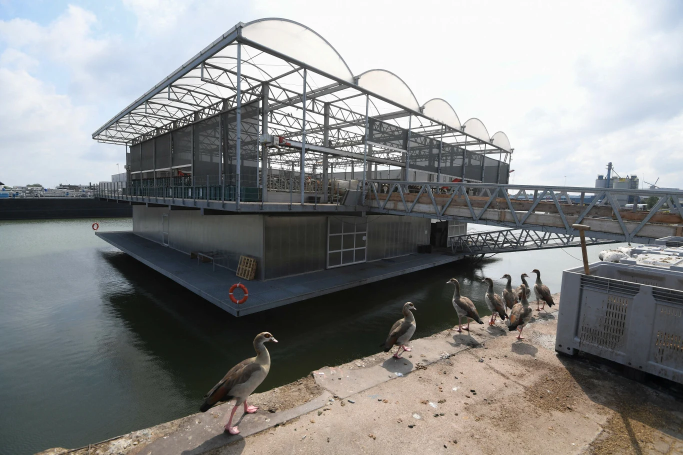 Krowy nie żyją w zamkniętym budynku. Farma jest przestrzenią otwartą Krowy nie żyją w zamkniętym budynku. Farma jest przestrzenią otwartą