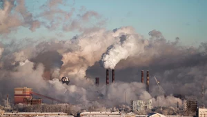 "Obietnice to za mało". Redaktorzy pism medycznych apelują ws. klimatu