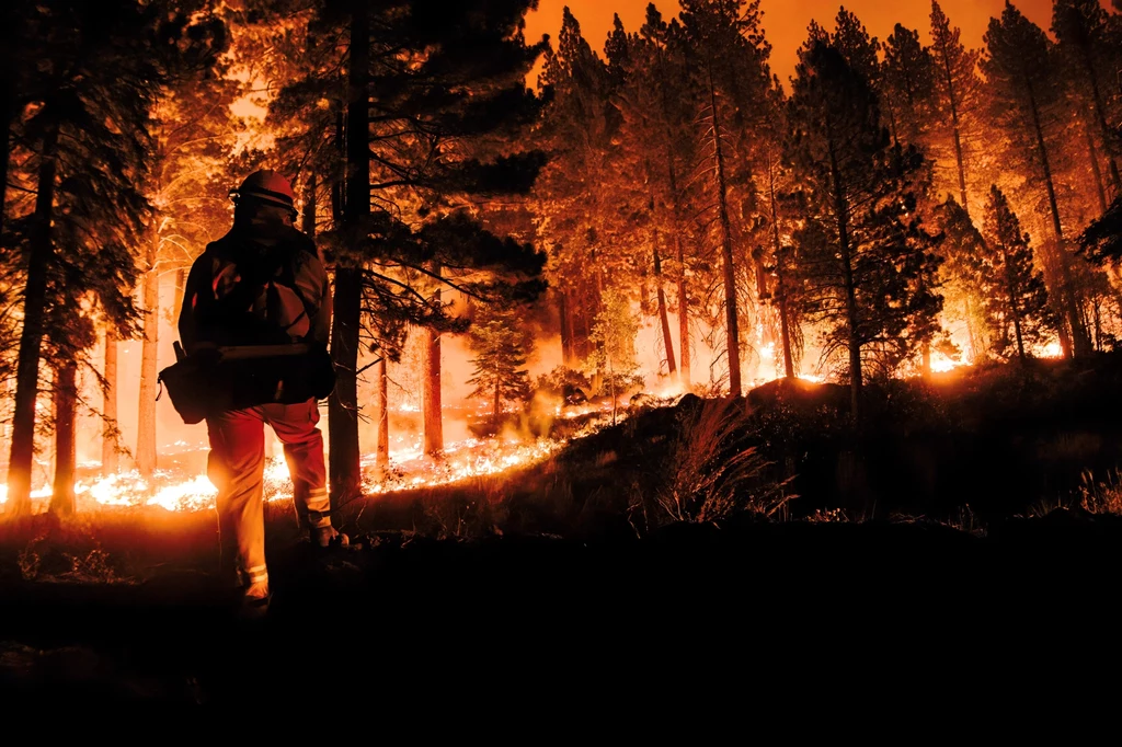 Pożary lasów w Kalifornii trwa nieprzerwanie od wiosny