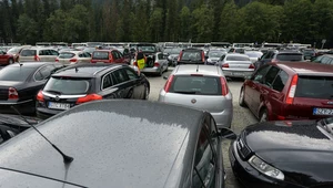 Ceny usług parkingowych w niektórych miastach biją po kieszeni
