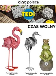 TEDi - czas wolny