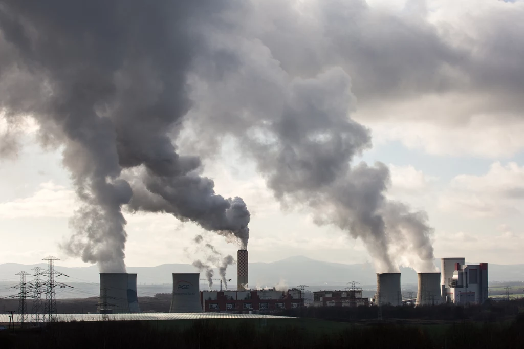 Nie tylko przemysł wpływa na zmiany klimatu. Ogromne znaczenie mają codzienne wybory każdego z nas