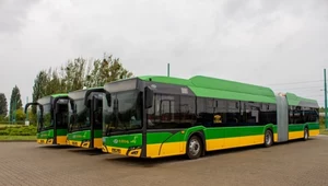 ​Poznański przewoźnik ma coraz więcej autobusów elektrycznych