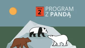 ​Niedźwiedź przewodnikiem w świecie przyrody. Rusza program edukacyjny WWF