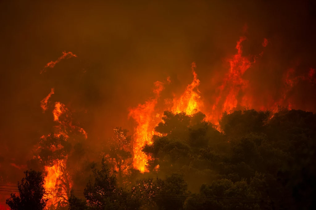 Pożar lasu w Grecji.