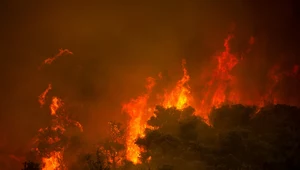 Pożar lasu w Grecji.