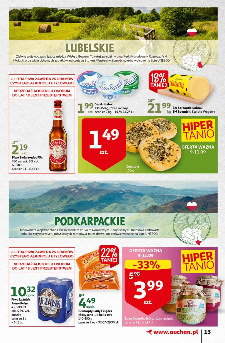 leaflet page preview image