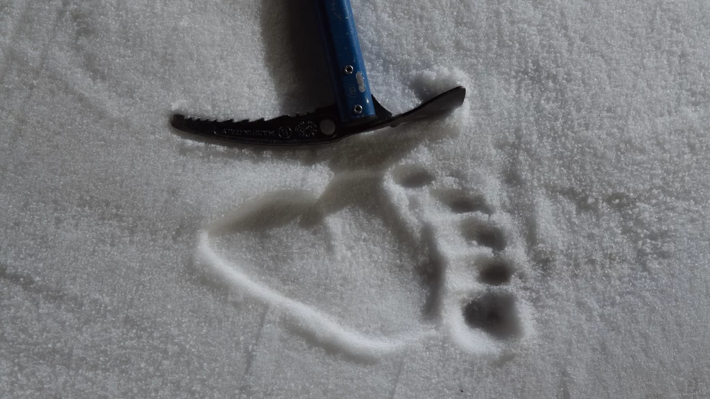 Ślady yeti odnajdywano na całym świecie