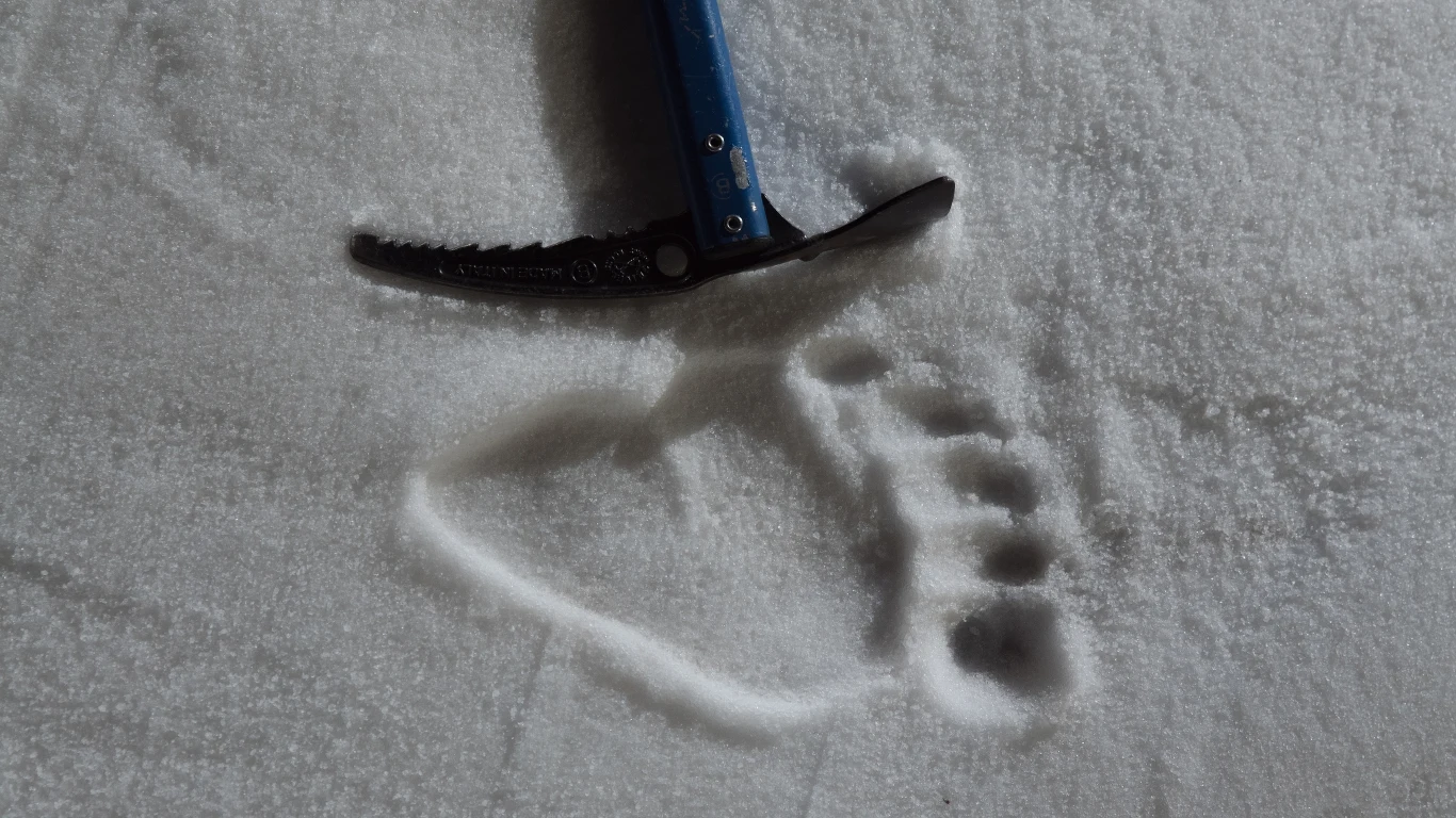 Ślady yeti odnajdywano na całym świecie Ślady yeti odnajdywano na całym świecie