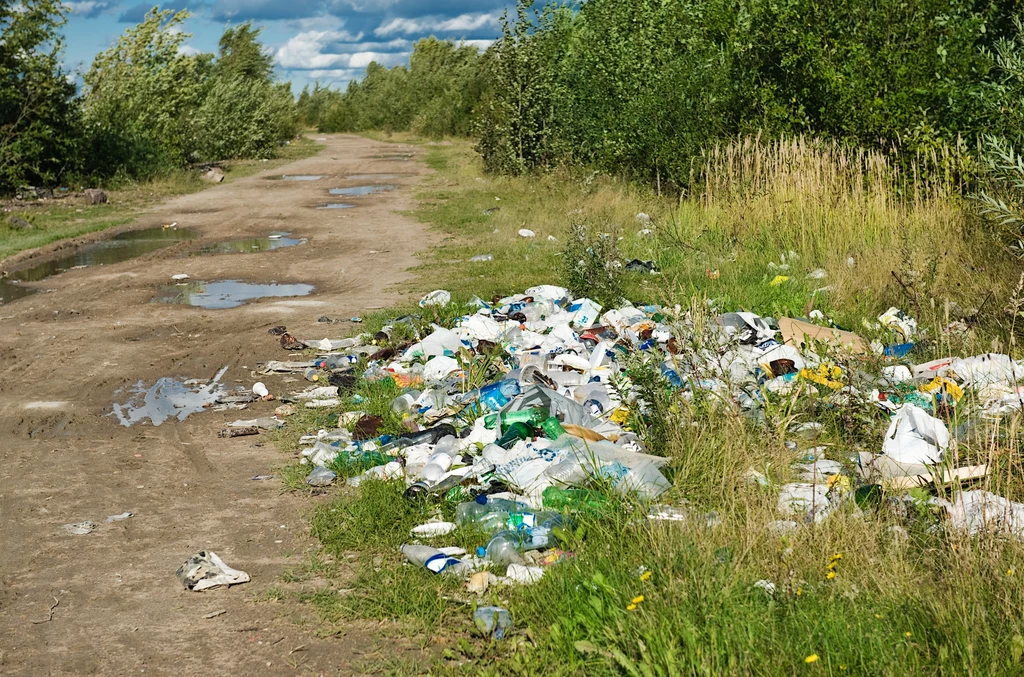 Śmiecenie w lasach można zgłaszać na specjalnej stronie GIOŚ