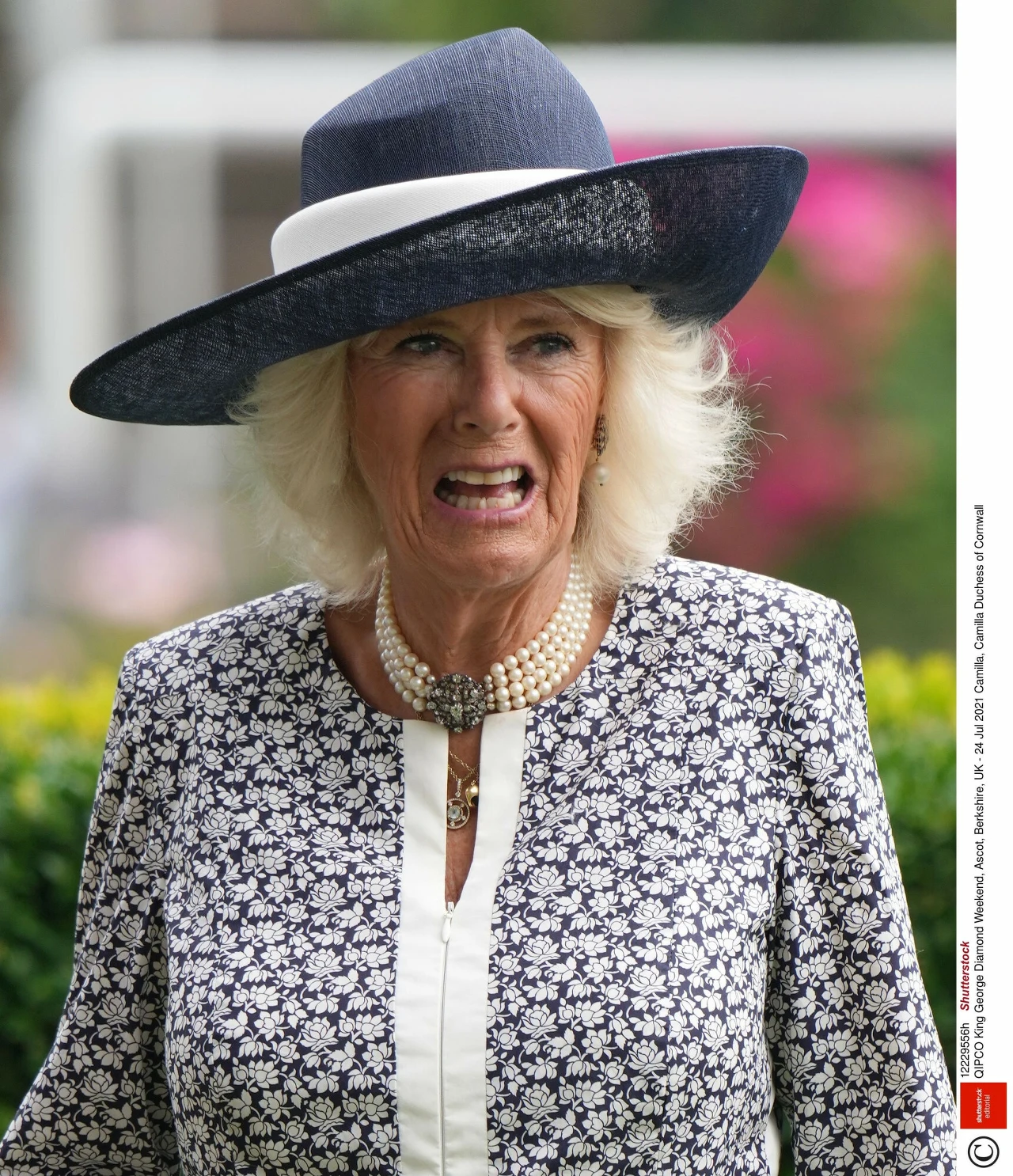 Ksieżna Camilla Ksieżna Camilla