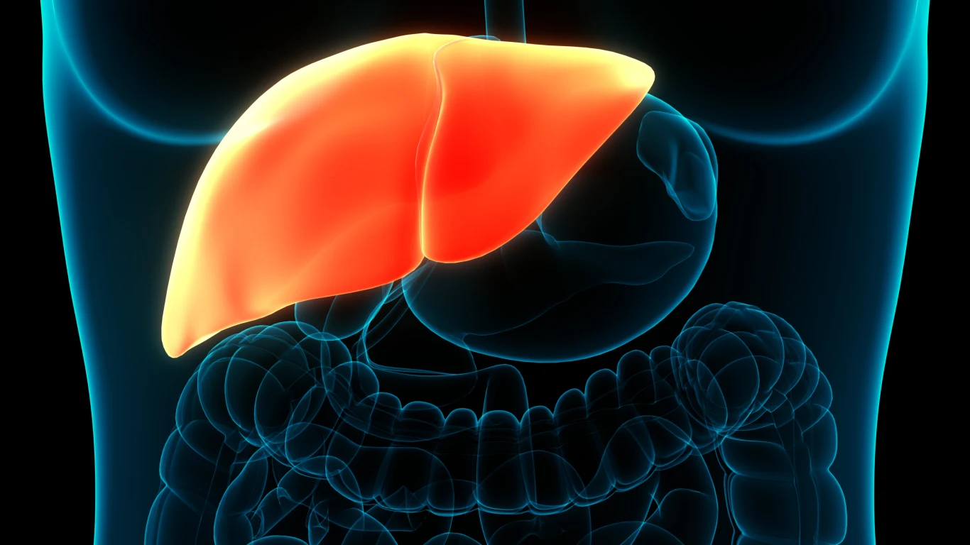 Rak wątroby w Polsce wykrywany jest co roku w liczbie ok. 1400 przypadków
