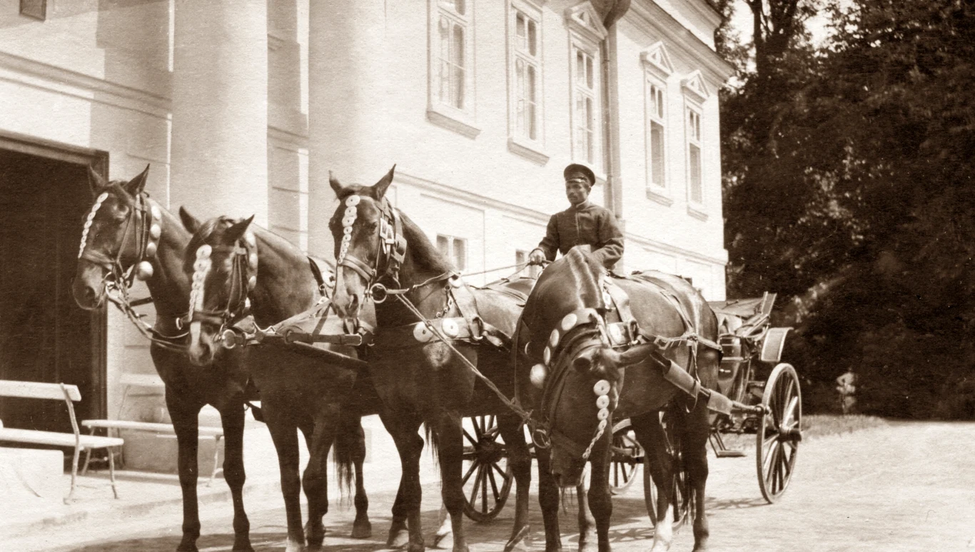 Przed pałacem w Porycku (Ukraina), przy powozie konie ze stadniny Czackich 