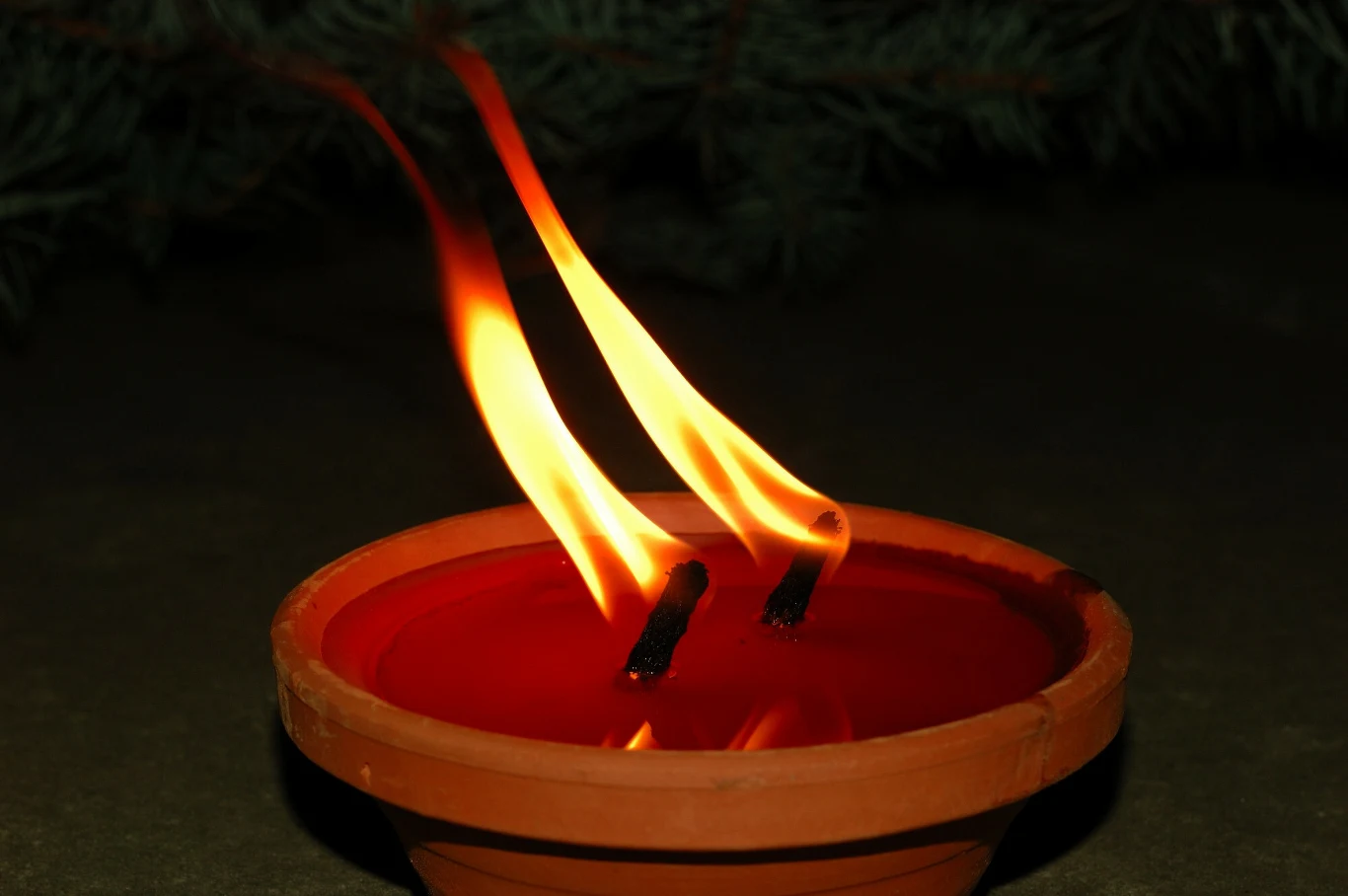 Nie żyje Anna Szulc Nie żyje Anna Szulc