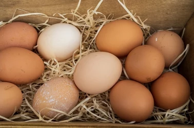 Jajka z Biedronki wycofane ze sprzedaży.