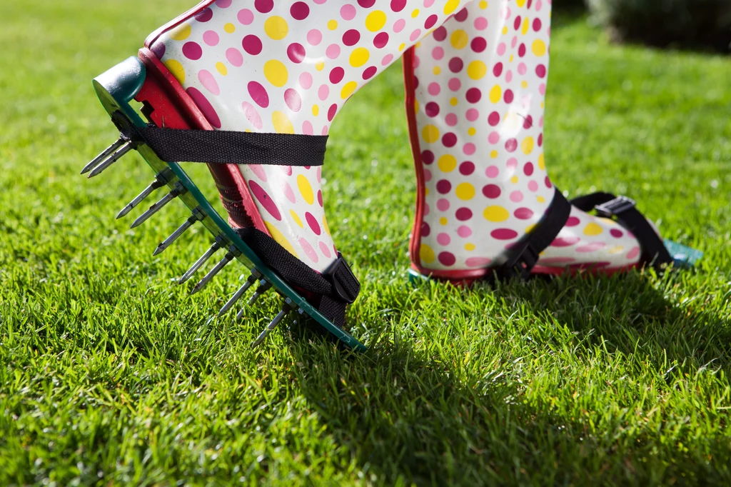 Do aeracji trawnika użyć można specjalnych nakładek na buty