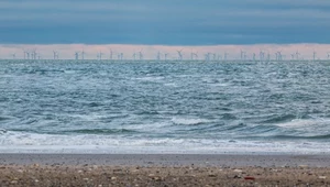 ​Niemcy stawiają na farmy wiatrowe wzdłuż wybrzeży