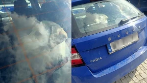 Uwięzionego w rozgrzanym aucie psa uwolnili policjanci.
