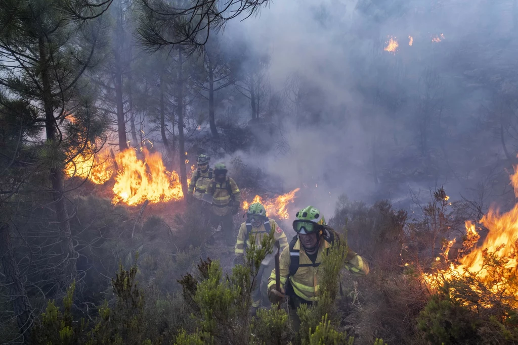 Pożar lasu w Hiszpanii.