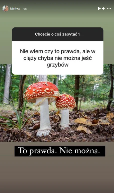 Olga Frycz o grzybach na Instagramie / @tojafrycz Olga Frycz o grzybach na Instagramie / @tojafrycz