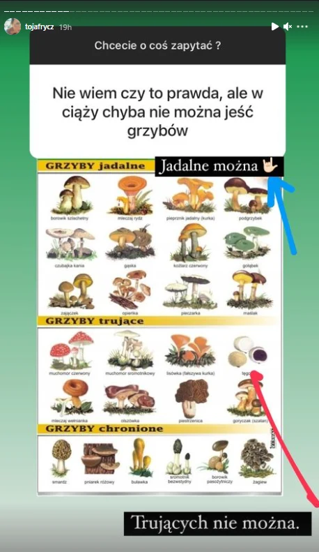 Olga Frycz o grzybach na Instagramie / @tojafrycz Olga Frycz o grzybach na Instagramie / @tojafrycz