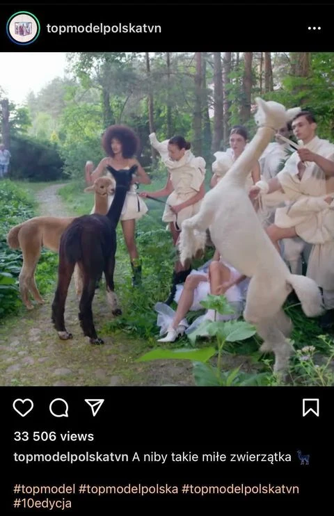 fot. Top Model, fot. topmodelpolskatvn