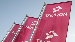 ​Tauron zainwestuje w sieci dystrybucyjne. Pożycza na ten cel 2,8 mld zł