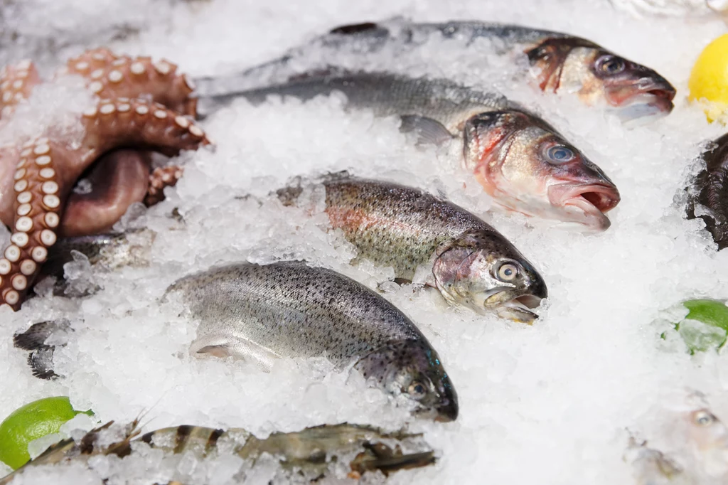 Ryby w kuchni - co zrobić, by zachowały świeżość?