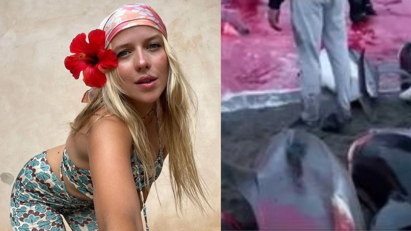 fot. Jess na Wyspach Owczych (miejscu masakry delfinów/ fot. jemerced / fot. Facebook fot. Jess na Wyspach Owczych (miejscu masakry delfinów/ fot. jemerced / fot. Facebook