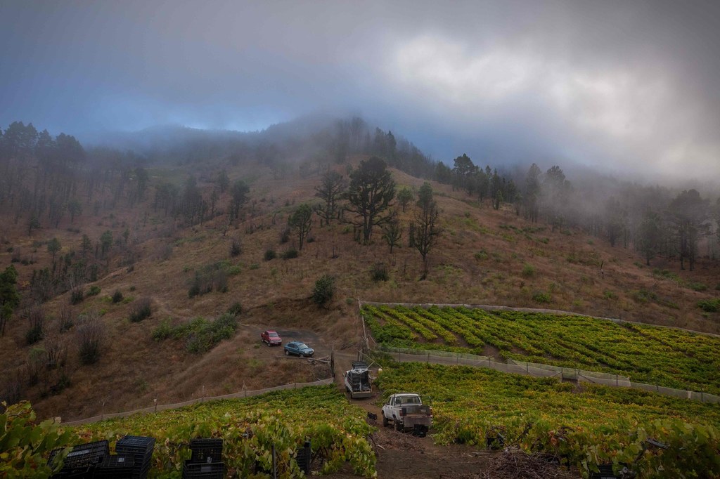 Wulkan Teneguia na kanaryjskiej wyspie La Palma. 